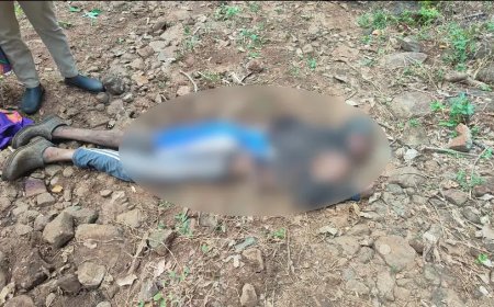 നിലമ്പൂരിൽ കാട്ടാന ആക്രമണത്തിൽ അതിഥി തൊഴിലാളി കൊല്ലപ്പെട്ടു.