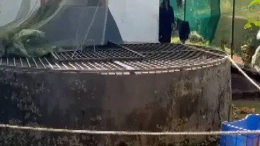 കണ്ണൂരിൽ രണ്ടുമാസം പ്രായമായ കുഞ്ഞിന്റെ മരണം; കൊലപാതകം അമ്മ അറസ്റ്റിൽ.