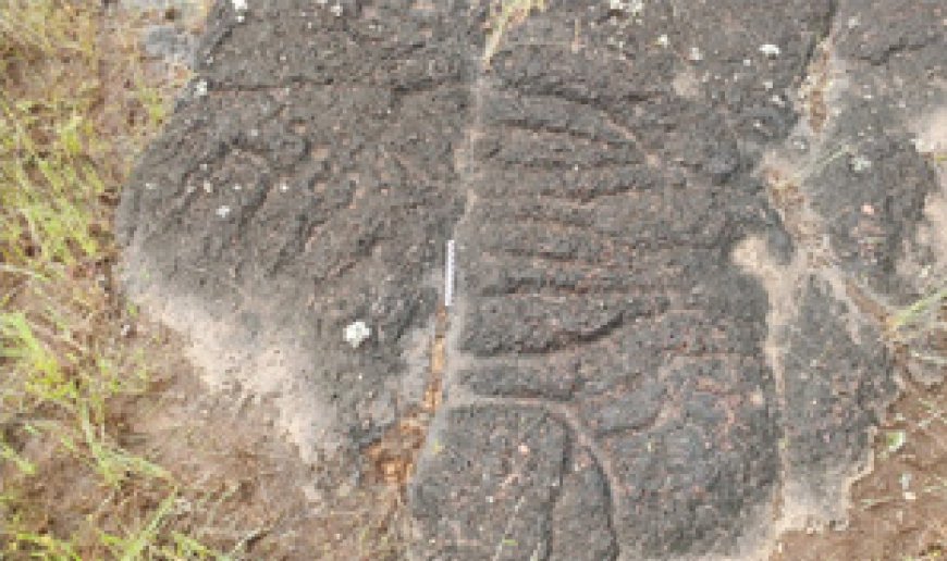 മടിക്കൈയിൽ നൂറ്റാണ്ടുകൾ പഴക്കമുള്ള ശിലാചിത്രങ്ങൾ കണ്ടെത്തി.