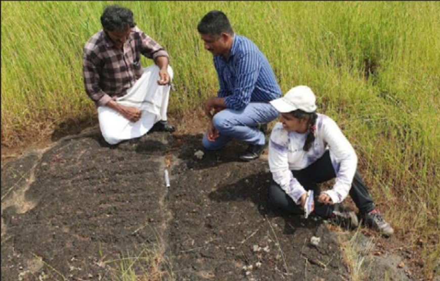 മടിക്കൈയിൽ നൂറ്റാണ്ടുകൾ പഴക്കമുള്ള ശിലാചിത്രങ്ങൾ കണ്ടെത്തി.
