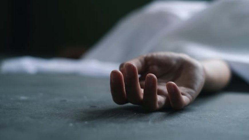 ഇടുക്കിയിൽ സ്കൂൾ ബസ് കയറി മൂന്നു വയസ്സുകാരന് ദാരുണാന്ത്യം