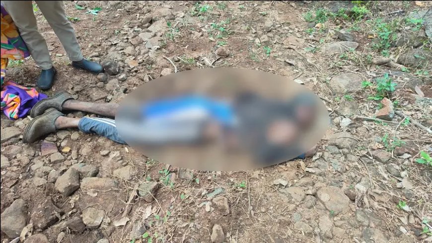 നിലമ്പൂരിൽ കാട്ടാന ആക്രമണത്തിൽ അതിഥി തൊഴിലാളി കൊല്ലപ്പെട്ടു.