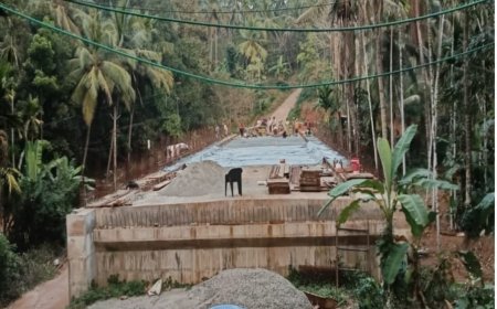 കാരാക്കോട്പാലം; നിർമ്മാണം പുരോഗമിക്കുന്നു