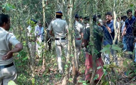 കരുവാരക്കുണ്ടിലെ 14കാരിയ്ക്ക് മറ്റൊരു ബന്ധമുള്ളതായി പ്രതിക്ക് സംശയം, കേസില്‍ മറ്റാര്‍ക്കും പങ്കില്ല; എസ്പി ആര്‍ വിശ്വനാഥന്‍