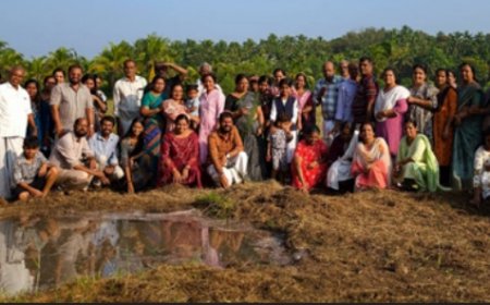 തെയ്യം കെട്ട്; പച്ചക്കറി കൃഷിക്ക് വിത്തിട്ടു
