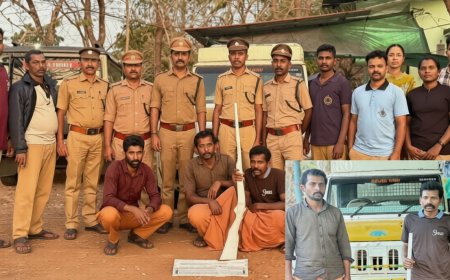 ഭീമനടിയിൽ കാട്ടുപന്നിയുടെ ജഡവുമായി മൂന്നംഗ നായാട്ടു സംഘം അറസ്റ്റിൽ