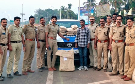 മഞ്ചേശ്വരം എക്സൈസ് ചെക്ക് പോസ്റ്റിൽ വൻ കഞ്ചാവ് വേട്ട; മഹാരാഷ്ട്ര സ്വദേശി അറസ്റ്റിൽ