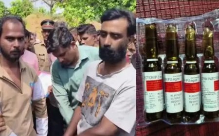 ആലുവയില്‍ അതിമാരക ലഹരി മരുന്നായ ലോറെ സെപാം ഇൻജക്ഷൻ ഐ പി യുമായി രണ്ടു പേരെ എക്സൈസ് അറസ്റ്റ് ചെയ്തു. 