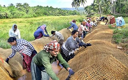 പുരസ്കാരത്തിന്റെ ഇരട്ട നേട്ടത്തിൽ മടിക്കൈ പഞ്ചായത്ത്