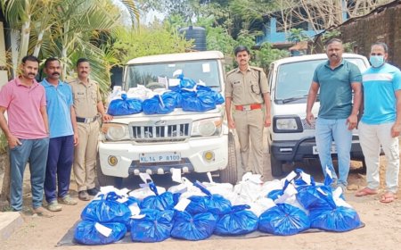 കാസർകോട് 345 ലിറ്റർ ഗോവൻ മദ്യം പിടികൂടി; വാഹനമുപേക്ഷിച്ചു രക്ഷപ്പെട്ട പ്രതികൾക്കെതിരെ കേസെടുത്തു.