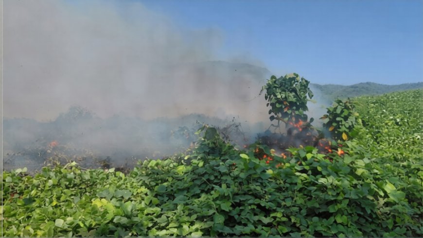 വെള്ളരിക്കുണ്ടിൽ വൻ തീപിടുത്തം