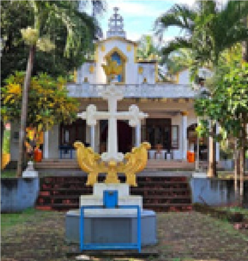 നീലേശ്വരം സെന്റ് മേരീസ് ദേവാലയ തിരുനാൾ നാളെ മുതൽ