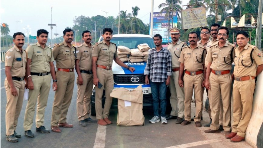 മഞ്ചേശ്വരം എക്സൈസ് ചെക്ക് പോസ്റ്റിൽ വൻ കഞ്ചാവ് വേട്ട; മഹാരാഷ്ട്ര സ്വദേശി അറസ്റ്റിൽ