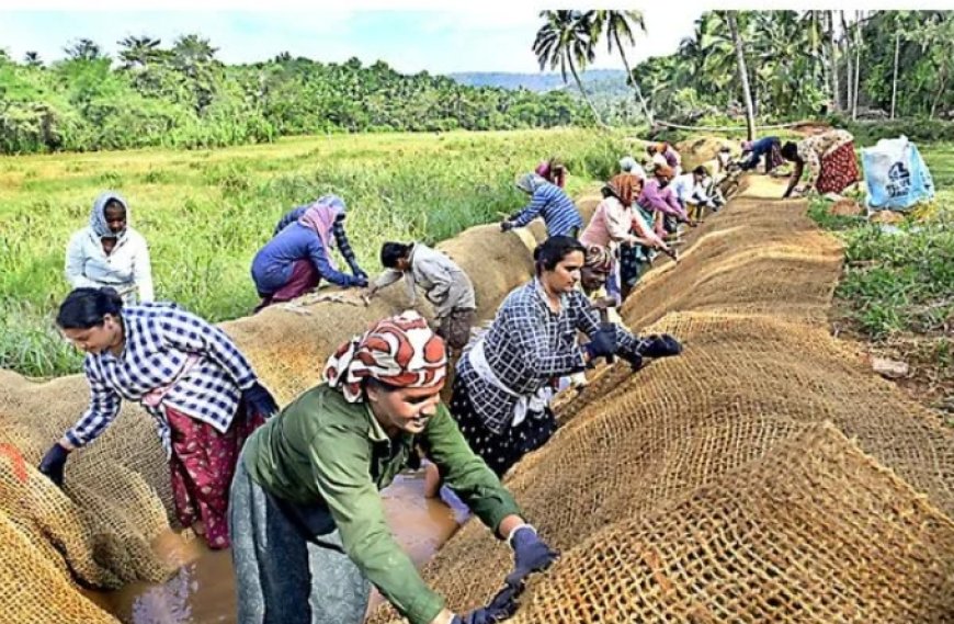 പുരസ്കാരത്തിന്റെ ഇരട്ട നേട്ടത്തിൽ മടിക്കൈ പഞ്ചായത്ത്