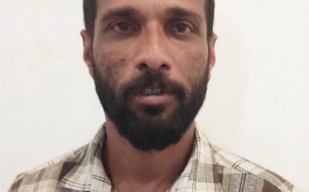 22 കിലോ കഞ്ചാവ് കടത്തിയ കേസ്; പ്രതിക്ക് 20 വർഷം കഠിന തടവും പിഴയും