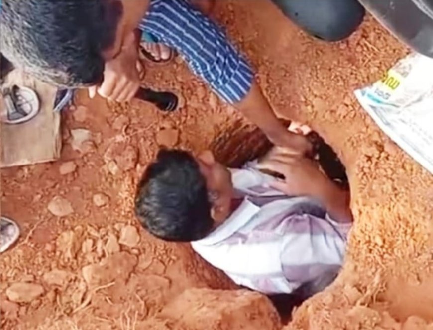 പനയാലിൽ 2000 വർഷം പഴക്കമുള്ള ചെങ്കല്ലറ കണ്ടെത്തി