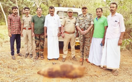 മുളിയാർ പഞ്ചായത്തിൽ ഭീതിയുണ്ടാക്കിയ കൂറ്റൻ പന്നിയെ വെടിവെച്ച് കൊന്നു