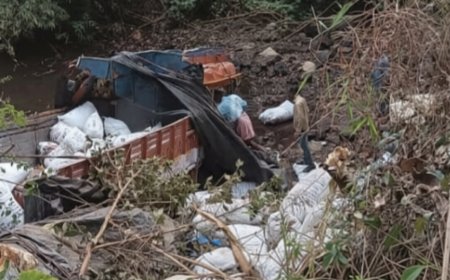 പരപ്പച്ചാലിൽ നിയന്ത്രണം വിട്ട ലോറി പുഴയിലേക്കു മറിഞ്ഞു