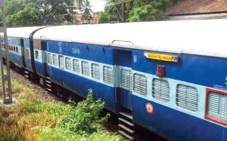 ട്രെയിൻ കടന്നു പോകുന്നതിനിടയിൽ കാറ്റടിച്ചുവീണു; വീട്ടമ്മയ്ക്കും പേരക്കുട്ടിക്കും പരിക്ക്