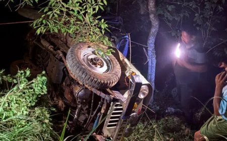 ഇടുക്കിയിൽ ജീപ്പ് കൊക്കയിലേക്ക് മറിഞ്ഞു; ആറുമാസം പ്രായമുള്ള കുഞ്ഞ് ഉൾപ്പെടെ രണ്ടുപേർ മരിച്ചു