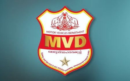 ട്രാഫിക് പിഴകൾക്ക് 50% ഇളവ്; മോട്ടോർ വാഹന വകുപ്പിന്റെ അംനസ്റ്റി സ്കീം പദ്ധതി ഏപ്രിൽ 30 വരെ