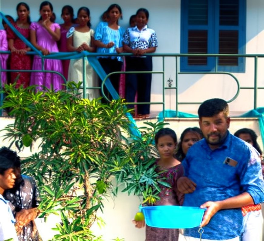 ഫലവൃക്ഷ കൃഷി വിളവെടുത്തു