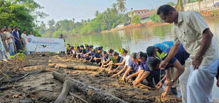 ഭൗമദിനം; കണ്ടൽ തൈകൾ നട്ട് എൻ സി സി പടന്നക്കാട് യൂണിറ്റ്