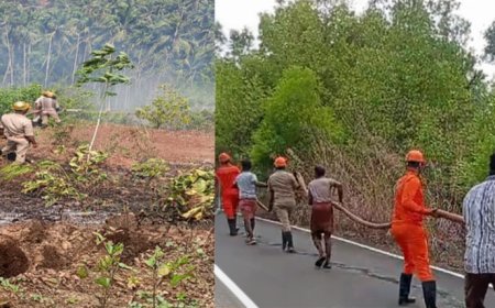 പറക്കളായിയിൽ വൻ തീ പിടിത്തം; റബ്ബർ തോട്ടം കത്തിനശിച്ചു