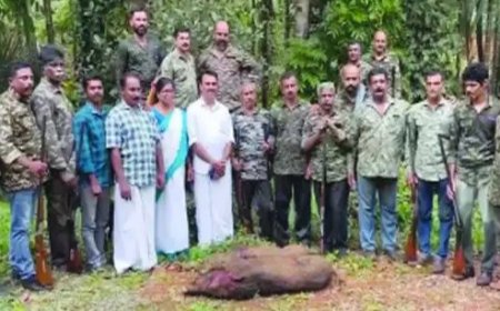 കാട്ടുപന്നികളെ പിടികൂടാൻ സജ്ജരായി കർഷക സേന