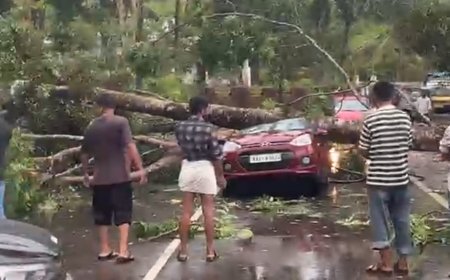 ഓടിക്കൊണ്ടിരുന്ന കാറിനു മുകളിൽ മരം വീണു; ഡോക്ടർ രക്ഷപ്പെട്ടത് ഭാഗ്യത്തിന്