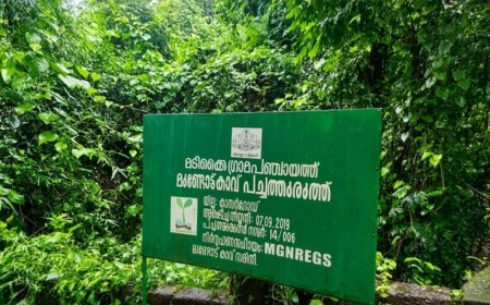 പച്ച തുരുത്തുകളുടെ കരുതലിൽ മടിക്കൈ