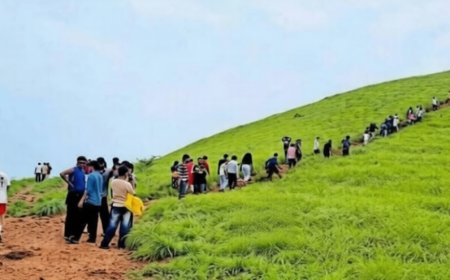 റാണിപുരം മാടി വിളിക്കുന്നു; ഇന്നലെ മാത്രം എത്തിയത് 2166 പേർ