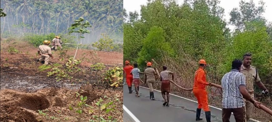 പറക്കളായിയിൽ വൻ തീ പിടിത്തം; റബ്ബർ തോട്ടം കത്തിനശിച്ചു