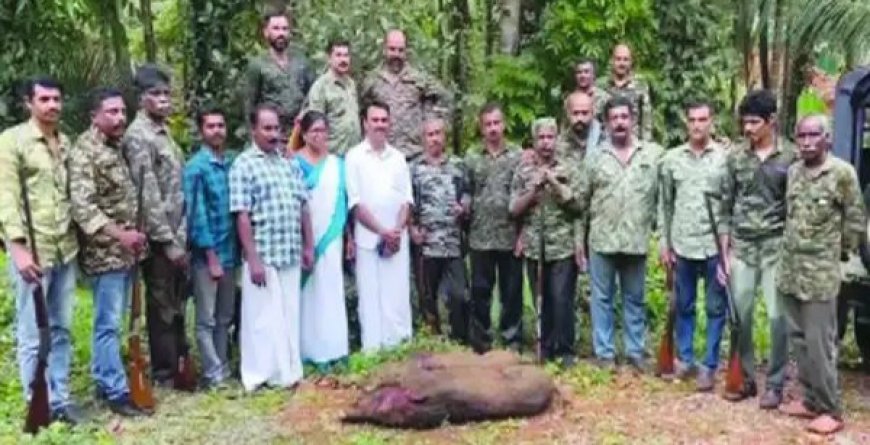 കാട്ടുപന്നികളെ പിടികൂടാൻ സജ്ജരായി കർഷക സേന