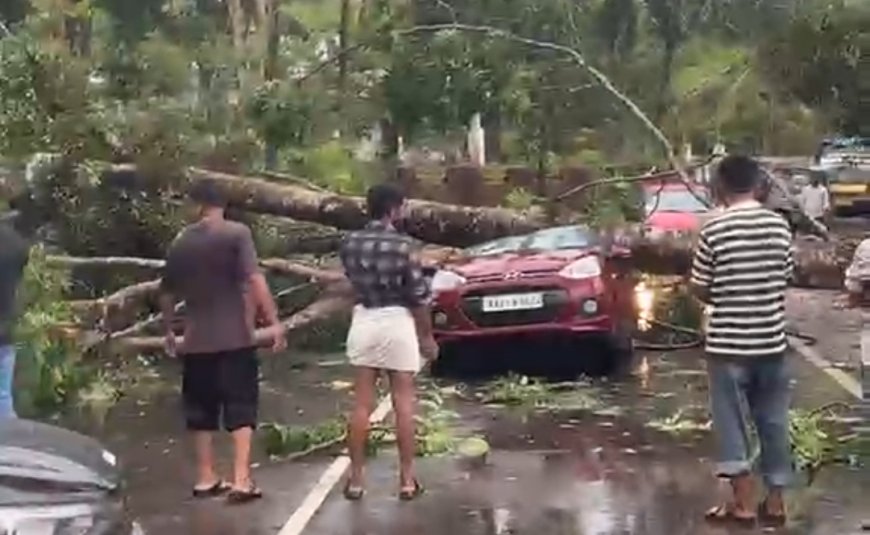 ഓടിക്കൊണ്ടിരുന്ന കാറിനു മുകളിൽ മരം വീണു; ഡോക്ടർ രക്ഷപ്പെട്ടത് ഭാഗ്യത്തിന്