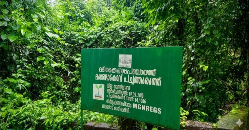 പച്ച തുരുത്തുകളുടെ കരുതലിൽ മടിക്കൈ
