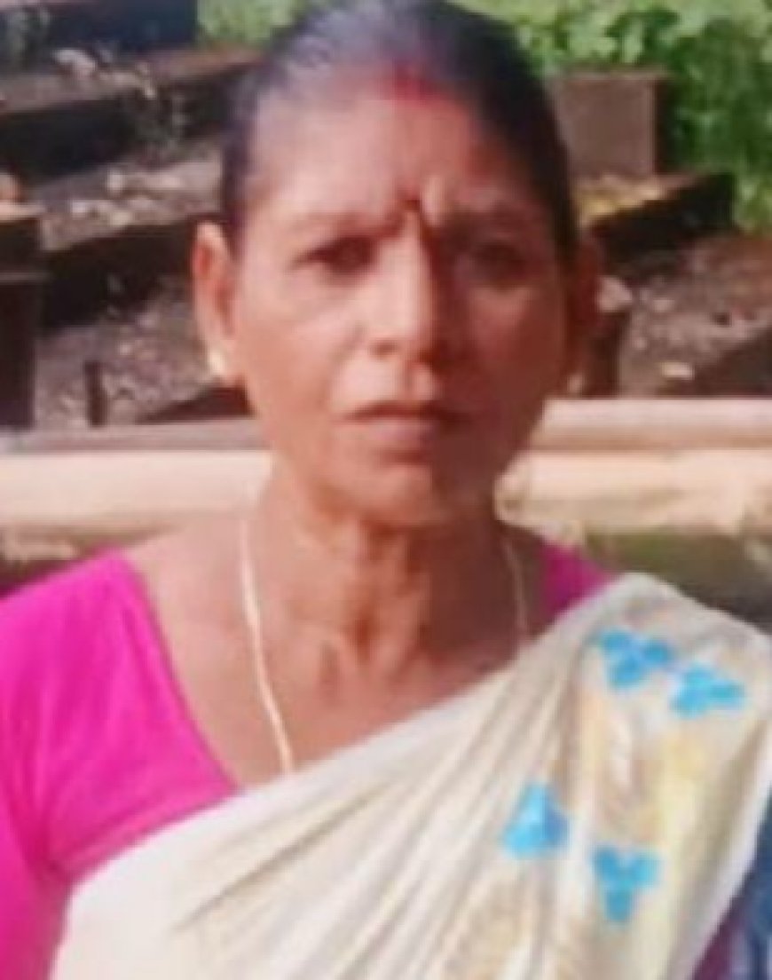 പെരുമ്പാവൂരിൽ ഭാര്യയെ കൊന്ന് ഭർത്താവ് ജീവനൊടുക്കി