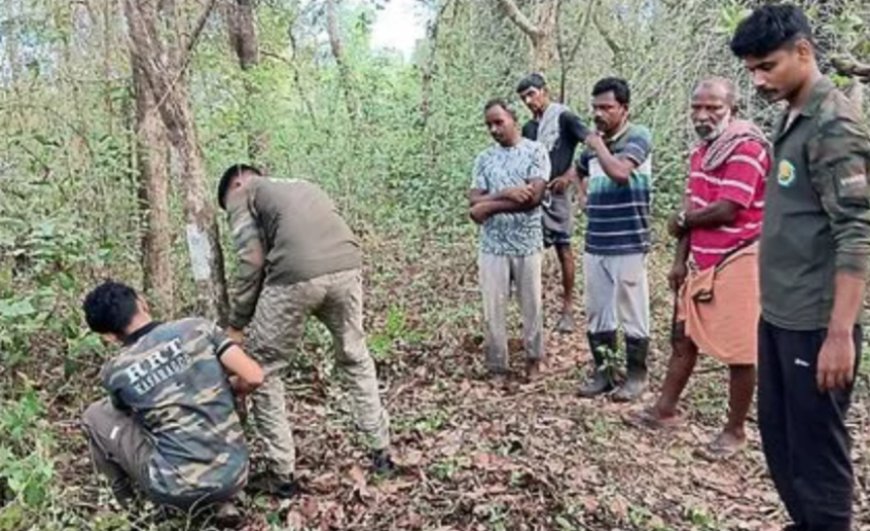 മടിക്കൈ വെള്ളൂടയിൽ പുലി സാന്നിധ്യം; വനം വകുപ്പ് ക്യാമറ സ്ഥാപിച്ചു, നാട്ടുകാർ ജാഗ്രതയിൽ