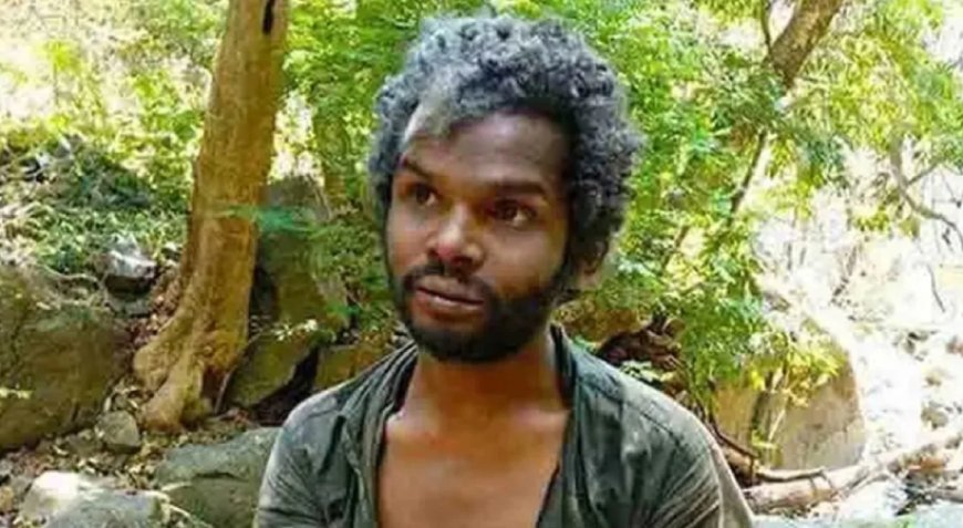 അട്ടപ്പപ്പാടിയിലെ ആദിവാസി മധുവിന്റെ കൊല; പന്ത്രണ്ട് പ്രതികൾക്ക് ഹൈക്കോടതി ജീവപര്യന്തം തടവ് ശിക്ഷ വിധിച്ചു