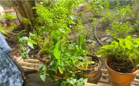 ആർടിഒ ഓഫീസുകളിൽ വിജിലൻസ് മിന്നൽ പരിശോധന; പണവും രേഖകളും പിടികൂടി, ക്രമക്കേടുകൾ കണ്ടെത്തി