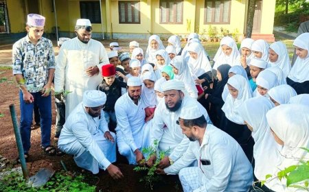 പരിസ്ഥിതി ദിനം ആചരിച്ച് തോട്ടം ഇൻശാഉൽ ഇസ്ലാം മദ്റസ