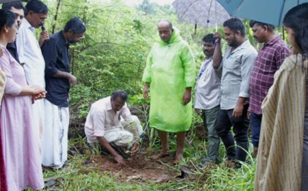 മടിക്കൈ സർവീസ് സഹകരണ ബാങ്ക് ലോക പരിസ്ഥിതി ദിനം ആചരിച്ചു