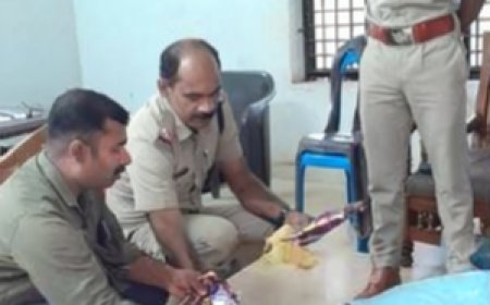ഓപ്പറേഷൻ തൂഫാൻ; 2990 പാക്കറ്റ് നിരോധിത പാൻ മസാലകളുമായി യുവാവ് പിടിയിൽ