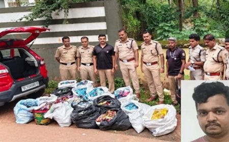 സ്കൂൾ വിദ്യാർഥികളെ ലക്ഷ്യമിട്ട് പാൻമസാല കടത്ത്; വിദ്യാനഗറിൽ, 21,873 പാക്കറ്റ് പാൻ മസാല പിടികൂടി