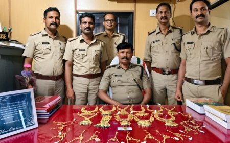 ബസിൽ കടത്തിയ 80 ലക്ഷം രൂപയുടെ സ്വർണാഭരണങ്ങളുമായി യാത്രക്കാരൻ പിടിയിൽ