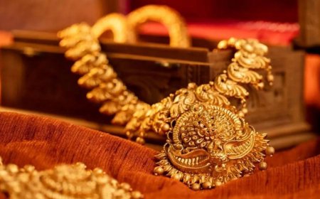 നാലര ലക്ഷം രൂപയുടെ സ്വർണ്ണവും,17000 രൂപയും മോഷണം പോയി; വീട്ടു ജോലിക്കാരിക്കെതിരെ പരാതി