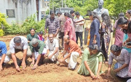 ഓണത്തിന് സ്വന്തം പൂക്കൾ; കാഞ്ഞങ്ങാട് നഗരസഭയുടെ ചെണ്ടുമല്ലി കൃഷിക്ക് തുടക്കം