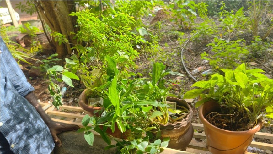 ആർടിഒ ഓഫീസുകളിൽ വിജിലൻസ് മിന്നൽ പരിശോധന; പണവും രേഖകളും പിടികൂടി, ക്രമക്കേടുകൾ കണ്ടെത്തി
