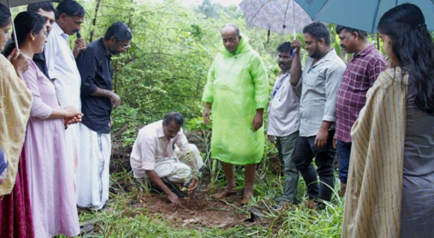 മടിക്കൈ സർവീസ് സഹകരണ ബാങ്ക് ലോക പരിസ്ഥിതി ദിനം ആചരിച്ചു