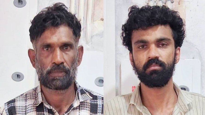 ഓട്ടോയിൽ കടത്തുകയായിരുന്ന എം ഡി എം എ യുമായി കാഞ്ഞങ്ങാട് സ്വദേശിയടക്കം രണ്ട് പേർ പിടിയിൽ